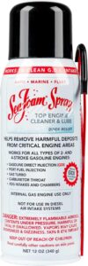 Sea Foam Spray Engine Intake Valve Cleaner, SS14, 14 oz